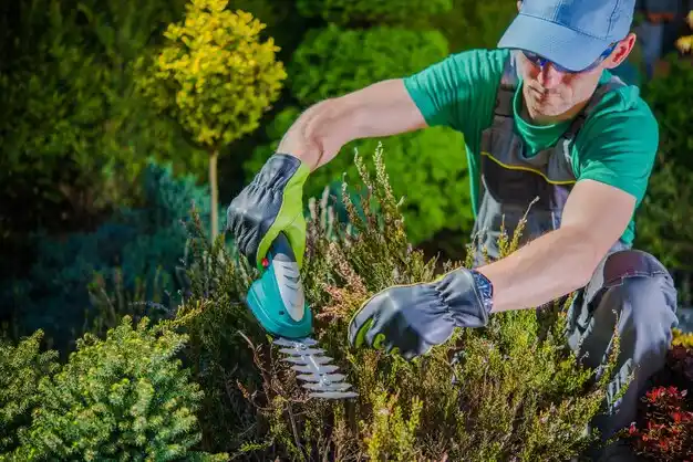 landscaping services Horseheads North